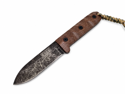 ESEE-PR4
